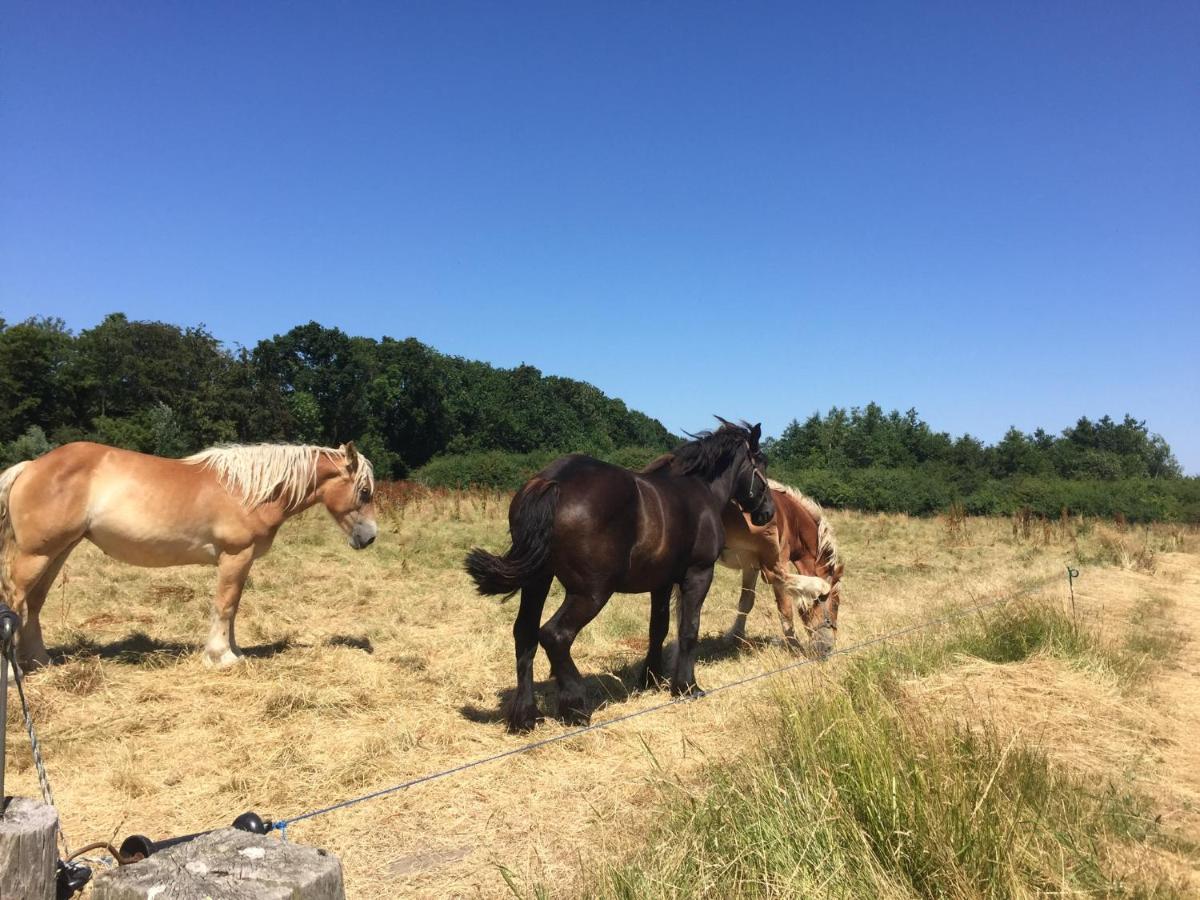 Willa Olmenduin 33 Serooskerke  Zewnętrze zdjęcie
