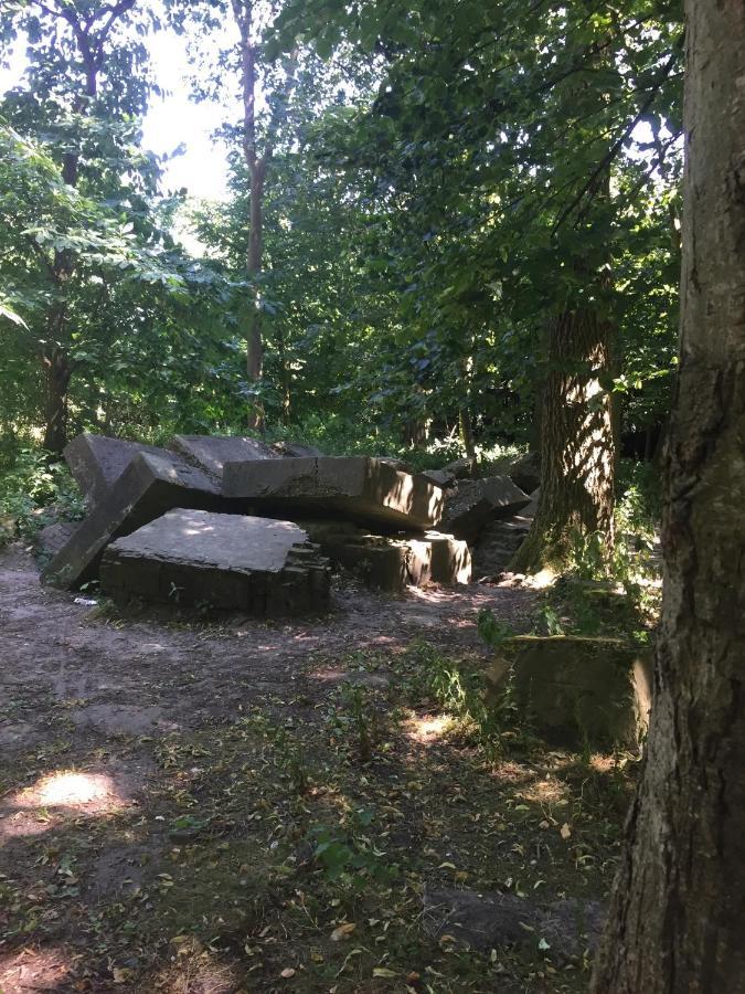 Willa Olmenduin 33 Serooskerke  Zewnętrze zdjęcie